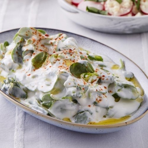 Yoğurtlu Semizotu Salatası